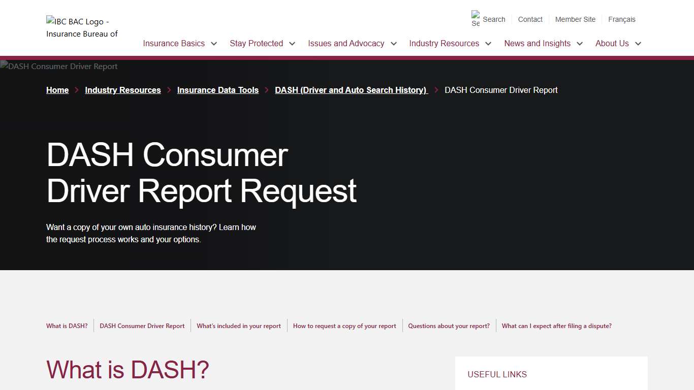 DASH Consumer Driver Report Request